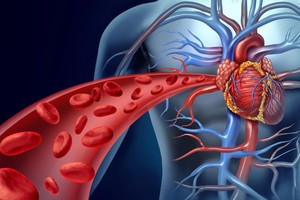 高温高湿增加心脏负荷。