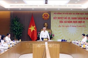 政府常务副总理、2025年特赦咨询委员会主席阮和平主持会议。