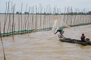 ĐBSCL: Cần liên kết kích hoạt khả năng thích ứng, phục hồi để phát triển