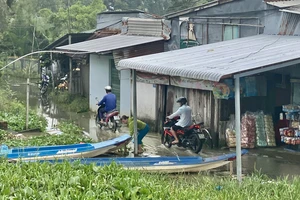 Triều cường gây ngập nặng vùng hạ lưu Hậu Giang