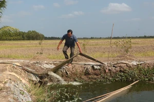 ĐBSCL chuẩn bị thích ứng khi El Nino quay lại