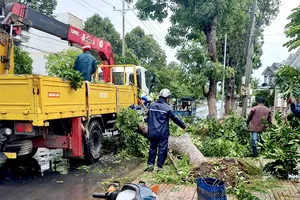 ĐBSCL: Mưa lớn kèm dông lốc làm hàng trăm căn nhà bị sập, tốc mái