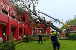 TPHCM hỗ trợ nhân lực cùng Hà Nội, Hải Phòng khắc phục hậu quả bão số 3 