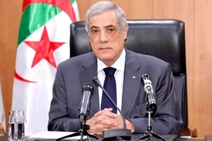 Thủ tướng Phạm Minh Chính gửi điện chúc mừng Thủ tướng Algeria Nadir Larbaoui