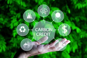 Phê duyệt đề án thành lập và phát triển thị trường carbon tại Việt Nam