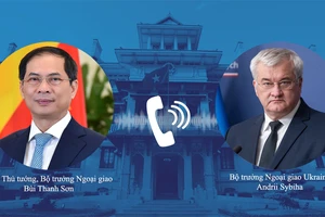 Việt Nam sẵn sàng tham gia các nỗ lực trung gian hòa giải cho cuộc xung đột Nga - Ukraine