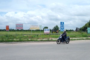 Quanh vòng xoay trung tâm thành phố mới Nhơn Trạch chỉ toàn đất trống, đồng cỏ và vườn mì