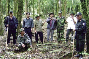 Ông Trần Hoàn (áo sọc thứ 2 từ trái qua) Chủ tịch HĐQT Công ty Cổ phần Sâm Ngọc Linh Kon Tum