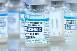 Đồng Nai: Chưa tiêm vaccine phòng dịch tả heo châu Phi