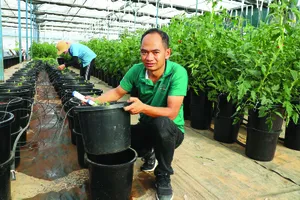 Nguyễn Đức Huy với mô hình đơn giản hóa phương pháp trồng rau thủy canh để áp dụng đại trà. Ảnh: ĐOÀN KIÊN