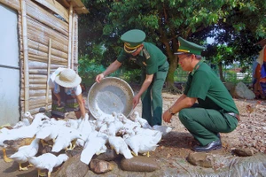 Đàn ngan giống từ mô hình “Đàn ngan khăn quàng đỏ” của Đồn biên phòng cửa khẩu Hồng Vân tặng gia đình chị Lê Thị Khêm 