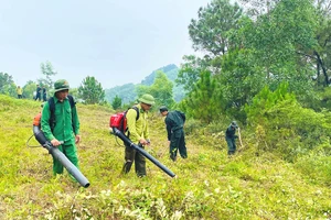 Đường băng cản lửa ở Ngã ba Đồng Lộc 