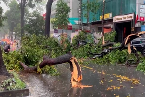 Phòng tránh hiểm họa lơ lửng trên đầu