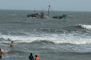 Bà Rịa – Vũng Tàu: Chìm tàu cá, cứu 7 thuyền viên thoát nạn