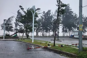 Bão số 5 đã vào bờ