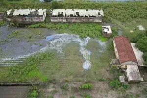 Dự án Trại nuôi thực nghiệm và sản xuất giống thủy sản bỏ hoang nhiều năm nay