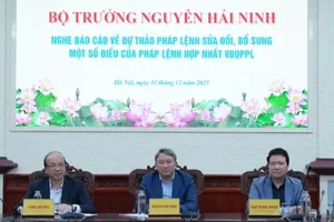 Chỉ sử dụng một văn bản “sạch”, đang có hiệu lực