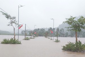 台风后到处水淹。