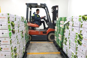 准备出口中国市场的水果。