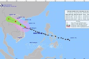 10号台风路向。
