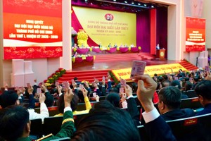 与会代表表决通过胡志明市党部第一次代表大会《决议》。