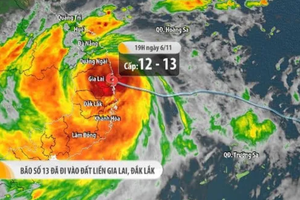 台风以15级阵风登陆德乐-嘉莱各省。