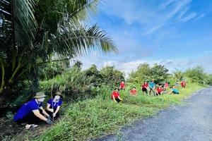 Huyện Bình Chánh ra quân trồng cây, tổng vệ sinh đón Tết Nguyên đán