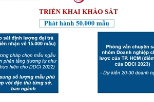 TPHCM đang khảo sát đánh giá năng lực cạnh tranh sở - ban - ngành, địa phương