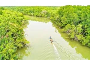 Đề xuất khu thương mại tự do tại Cần Giờ: Cần nghiên cứu kỹ