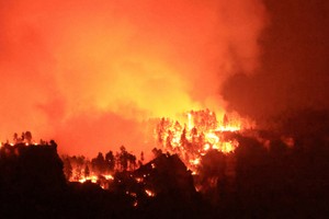 葡萄牙因高温和野火风险宣布进入警戒状态