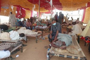 苏丹疫情已致2515人死亡。