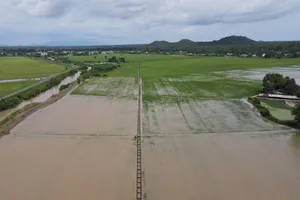 Các địa phương ở TPHCM khẩn trương khắc phục thiệt hại do mưa lớn và xả lũ