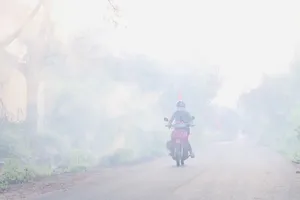 Nhà máy sản xuất gỗ xả thải gây ô nhiễm môi trường