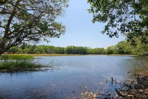 Khu bảo tồn Bình Châu - Phước Bửu cảnh báo đuối nước 