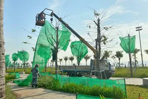 Vì sao cây xanh tại Công viên Thùy Vân được rào chắn kỹ lưỡng?