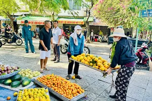 Phường Rạch Dừa tăng cường xử lý lấn chiếm vỉa hè, xây dựng đô thị xanh – sạch – đẹp