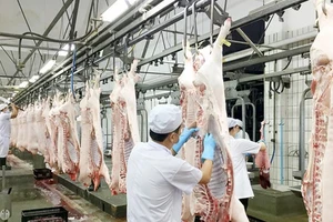 Không điều chỉnh giá thịt heo bình ổn thị trường