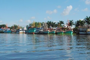 Hàng loạt tàu cá Kiên Giang nằm bờ 