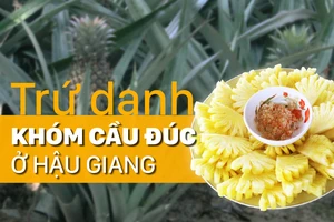 Trứ danh khóm Cầu Đúc ở Hậu Giang