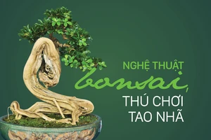 Nghệ thuật bonsai, thú chơi tao nhã