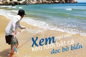 Xem ngư dân kéo lưới bắt cá dọc bờ biển