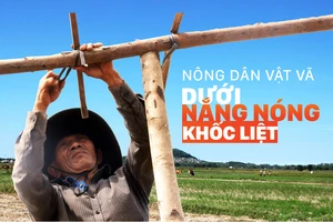 Nông dân vật vã dưới nắng nóng khốc liệt