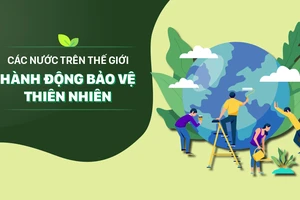 Các nước trên thế giới hành động bảo vệ thiên nhiên