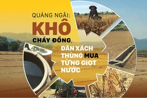 Quảng Ngãi: Khô cháy đồng, dân xách thùng mua từng giọt nước