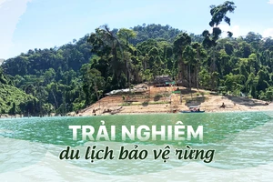 Trải nghiệm du lịch bảo vệ rừng