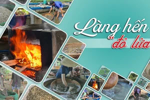 Làng hến “đỏ lửa”