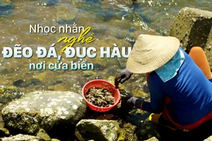 Nhọc nhằn nghề đẽo đá, đục hàu nơi cửa biển 