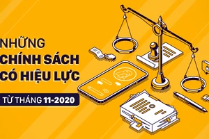 Những chính sách có hiệu lực từ tháng 11-2020