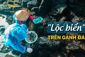 “Lộc biển” trên gành đá