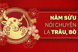 Năm Sửu nói chuyện lạ trâu, bò